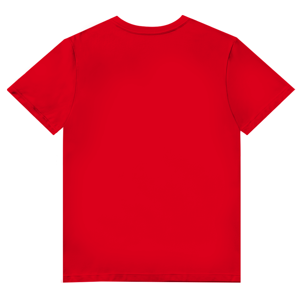 Herren Premium Bio V-Neck T-Shirt ESTID