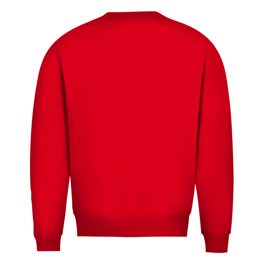 Herren Sweatshirt ESTID