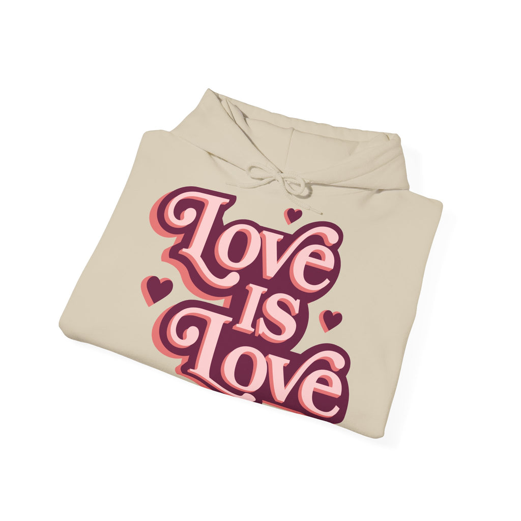 Love Is Love Hoodie – Retro Herz Pride Kapuzenpullover Ansicht 26 – Hoodie – ESTID