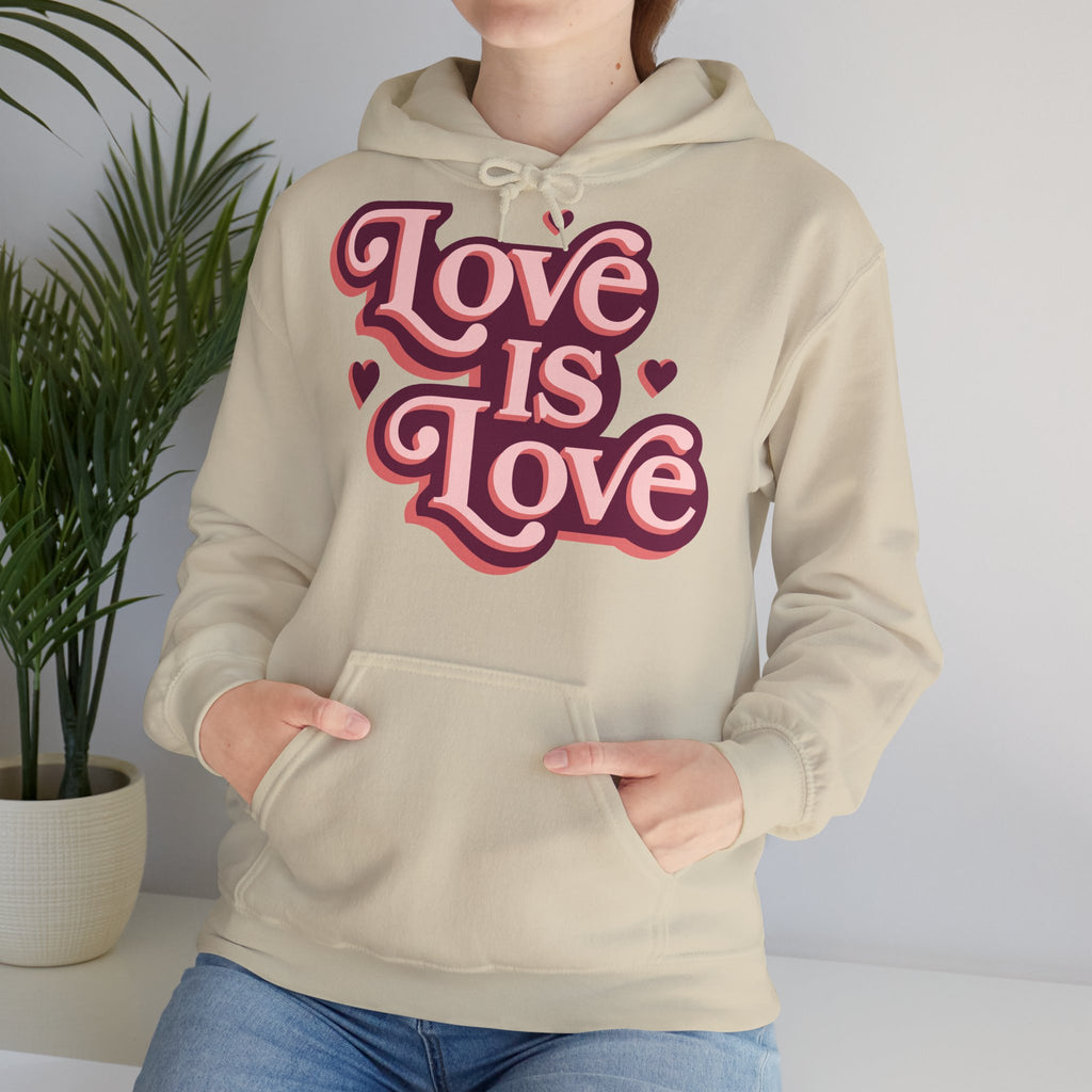 Love Is Love Hoodie – Retro Herz Pride Kapuzenpullover Ansicht 4 – Hoodie – ESTID